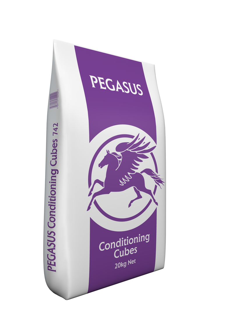 Pegasus Conditioning Cubes 20 kg