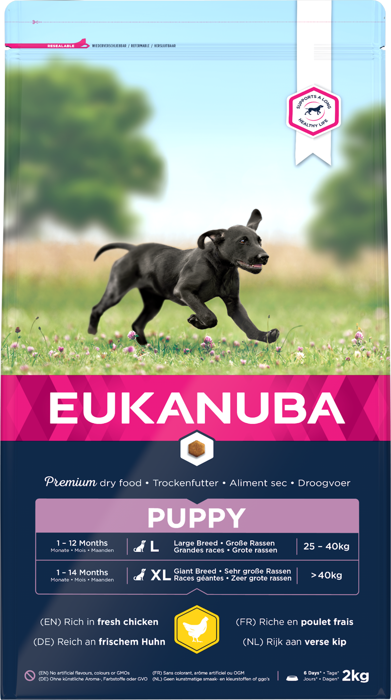 Eukanuba Puppy L Chicken 3x2kg