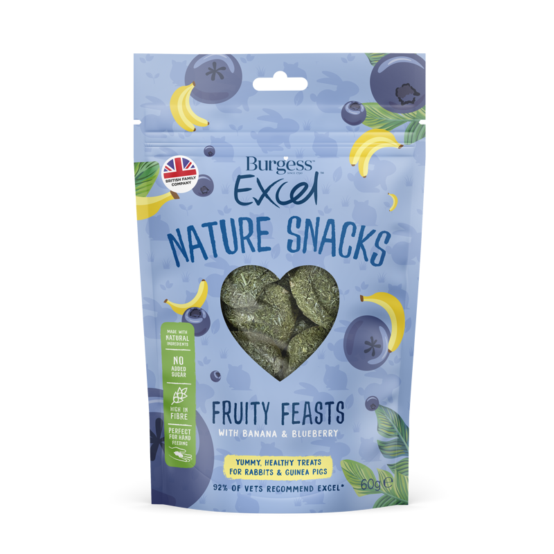 Burgess Excel Nat Snack F Feasts 12x60g