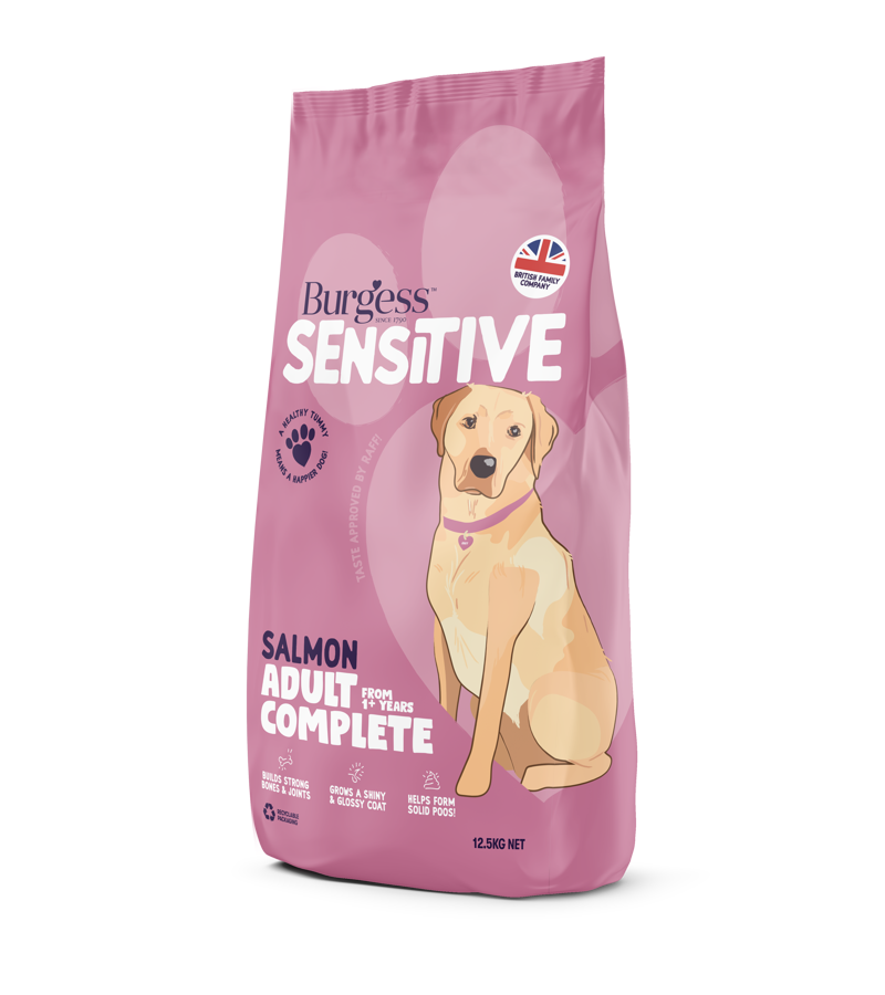 Burgess Sensitive Dog Salmon Rice 12.5kg