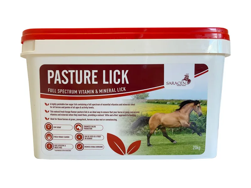Saracen Pasture Lick 20 kg