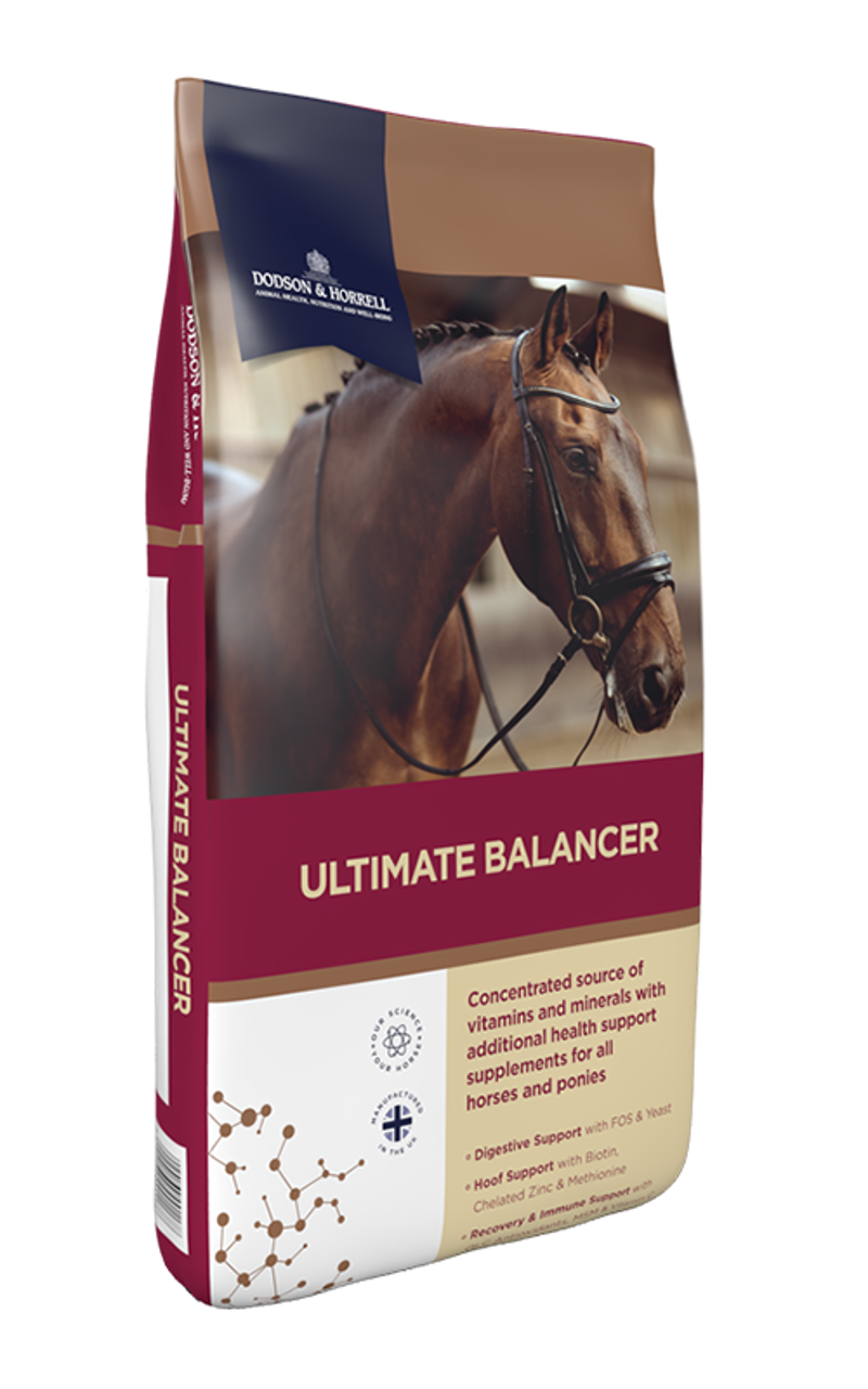 Dodson and Horrell Ultimate Balancer 20kg