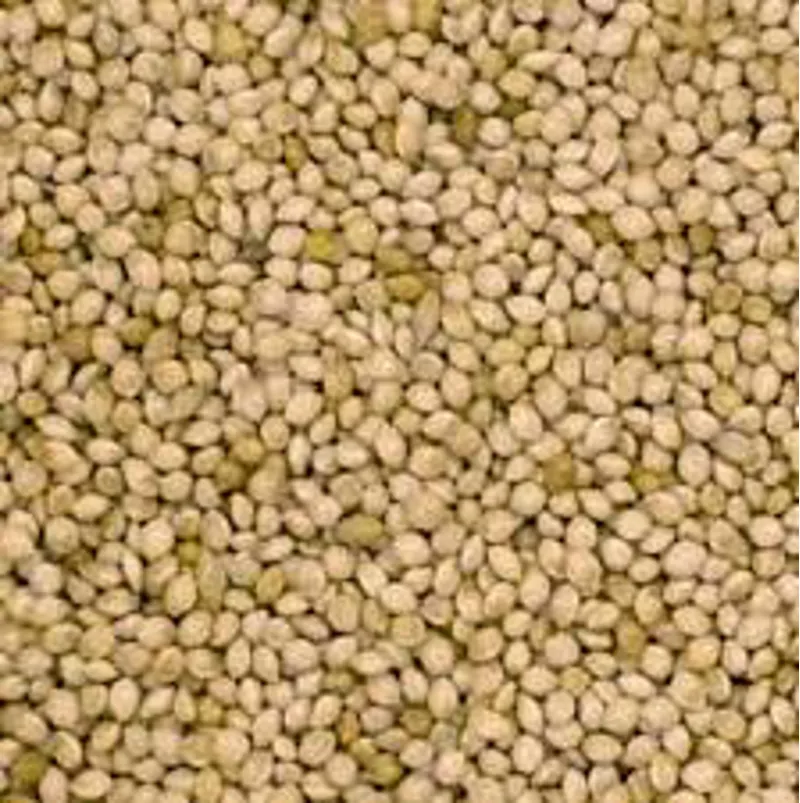 JJ Milletseed White French 20 kg