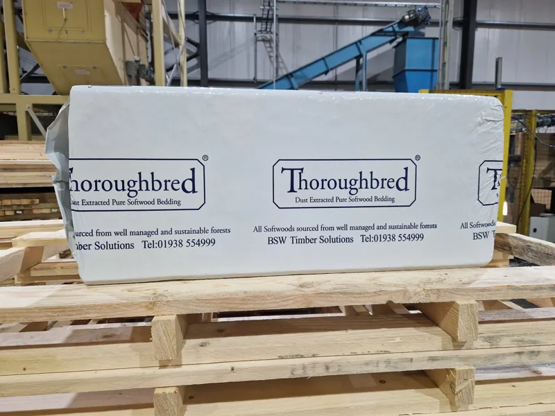 Thoroughbred Shavings 20.5kg