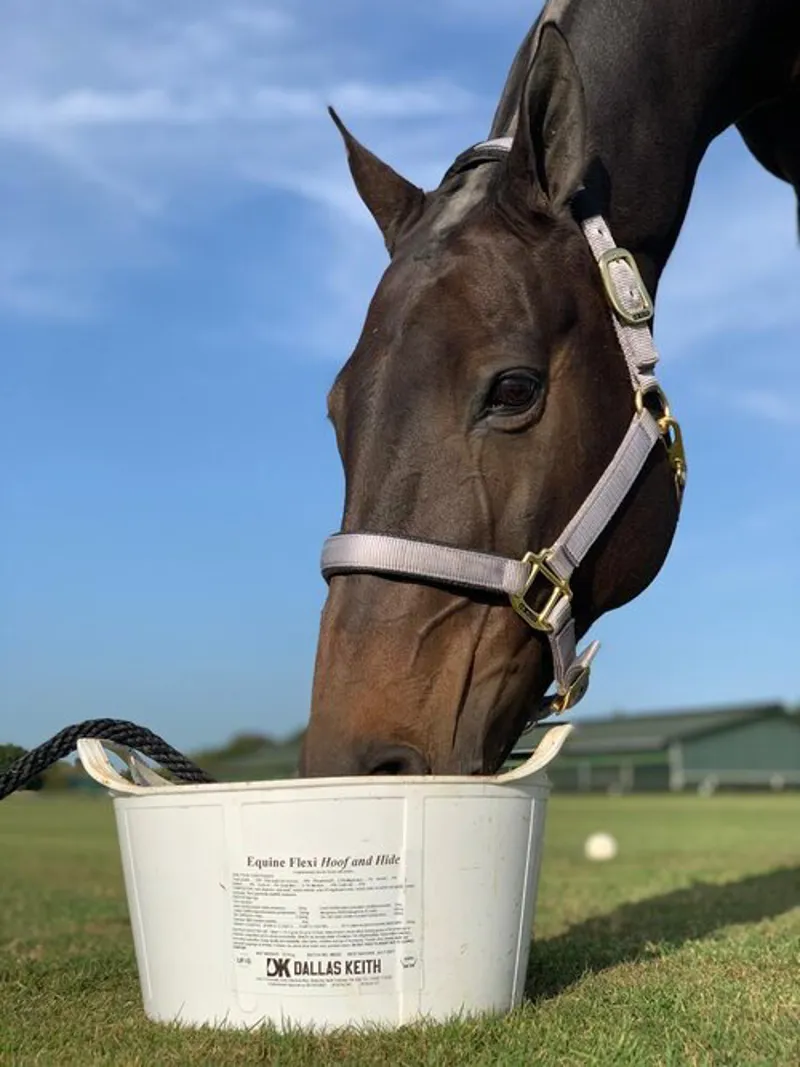 DK Equine Flexi Tub Hoof N Hide 12.5kg