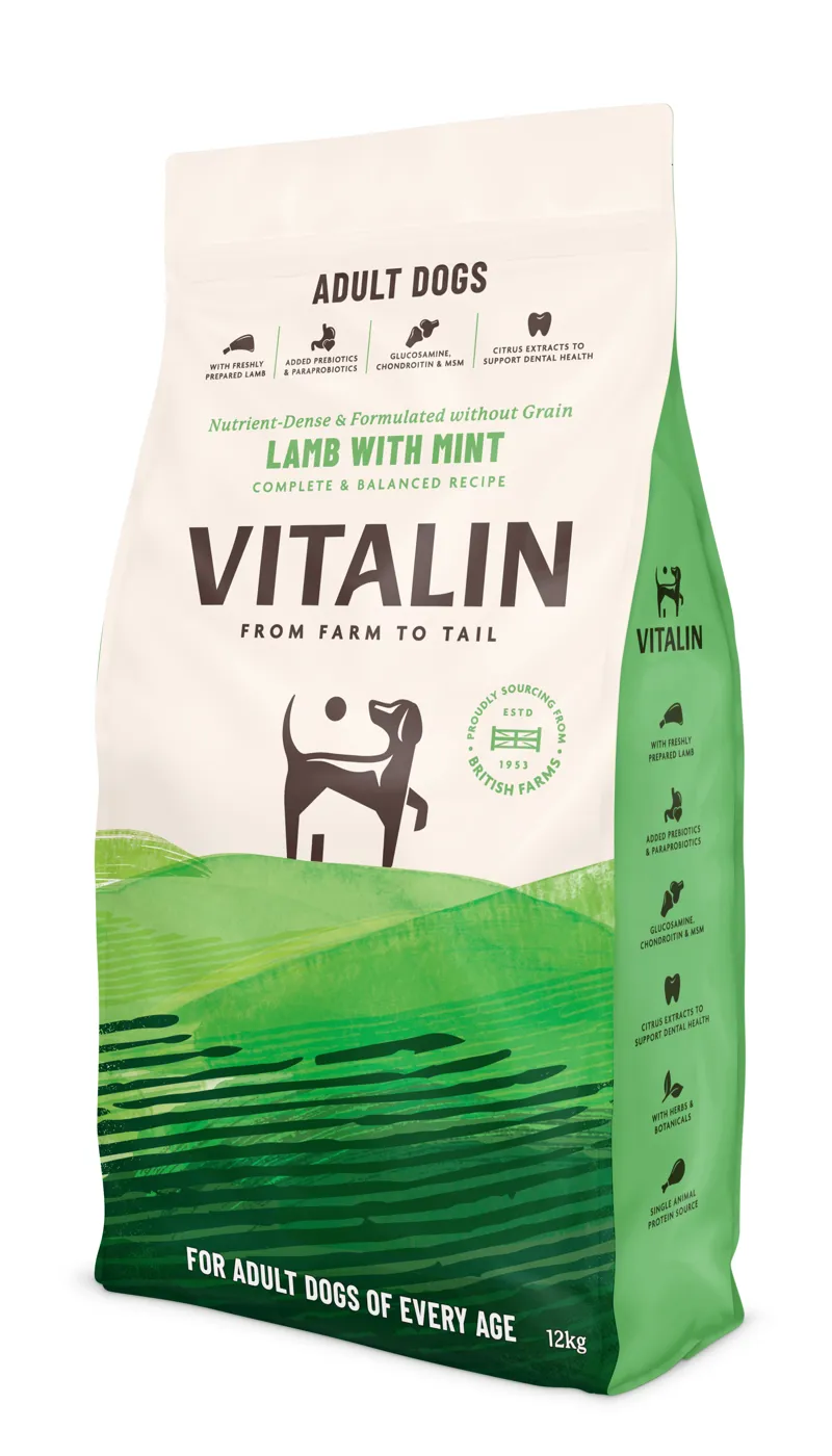 Vitalin Adult Lamb Mint 12 kg