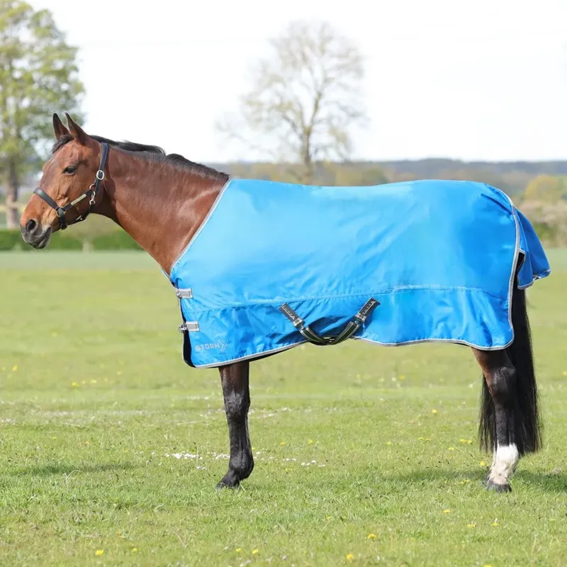 StormX Empra 0 Turnout Rug - - Blue