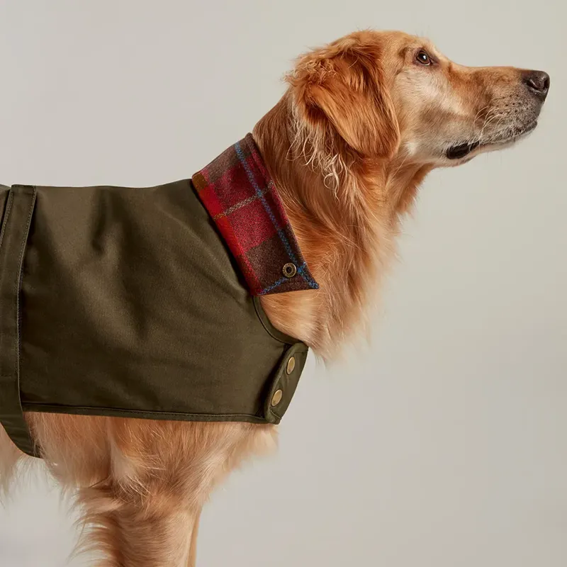 Joules Wax Dog Coat - Green large 56cm-2