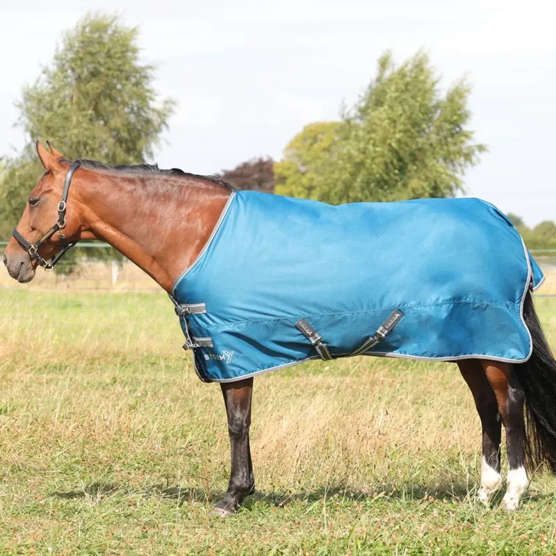StormX Empra 50 Turnout Rug in Teal
