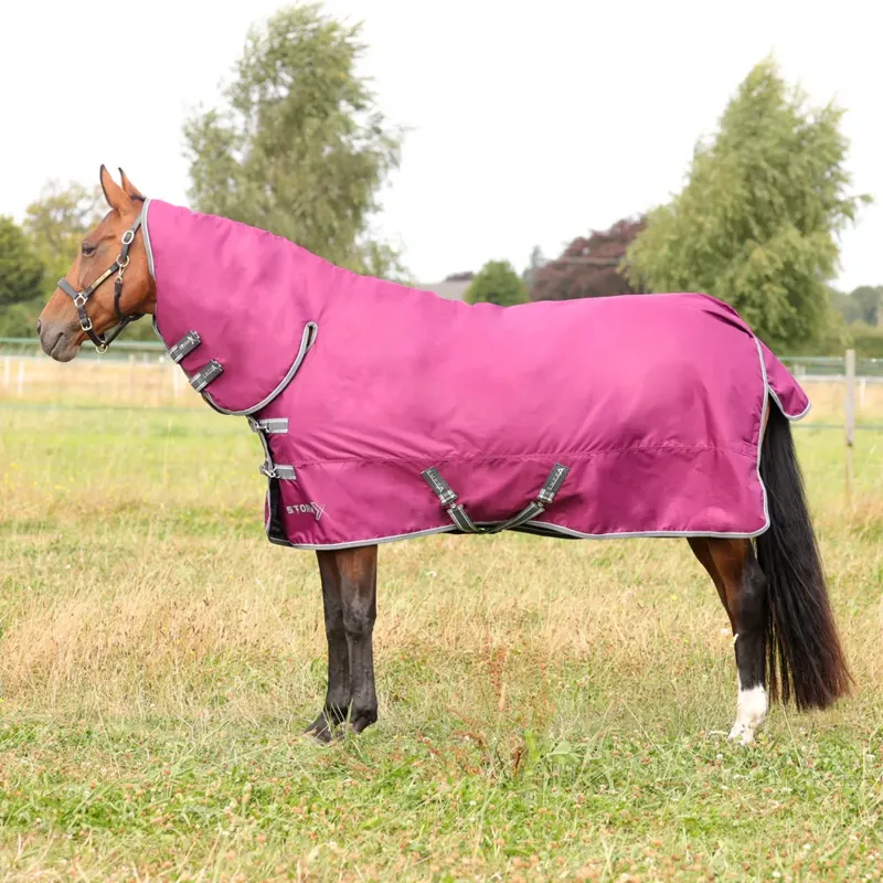 StormX Empra 200 Combi Turnout Rug in Pink