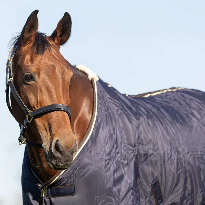 StormX Luxury Comfort Quilted Show Rug in Navy/Cream-2