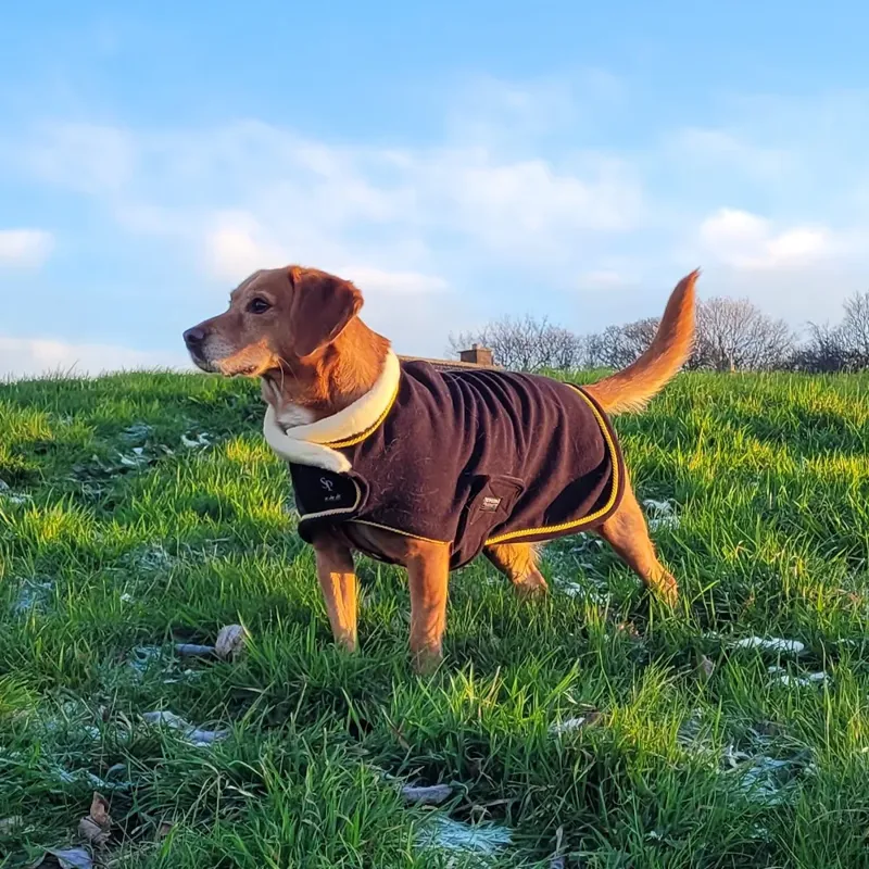 Supreme Products Royal Occasion Fleece Dog Coat - - Black