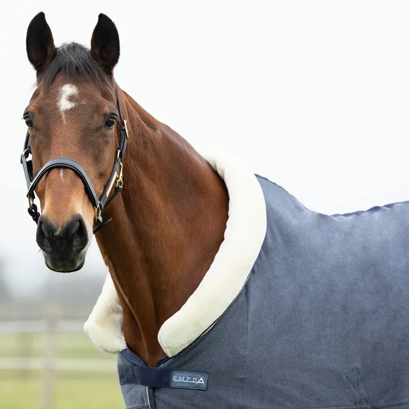 StormX Empra Polar Cushioned Fleece Rug in Grey-1