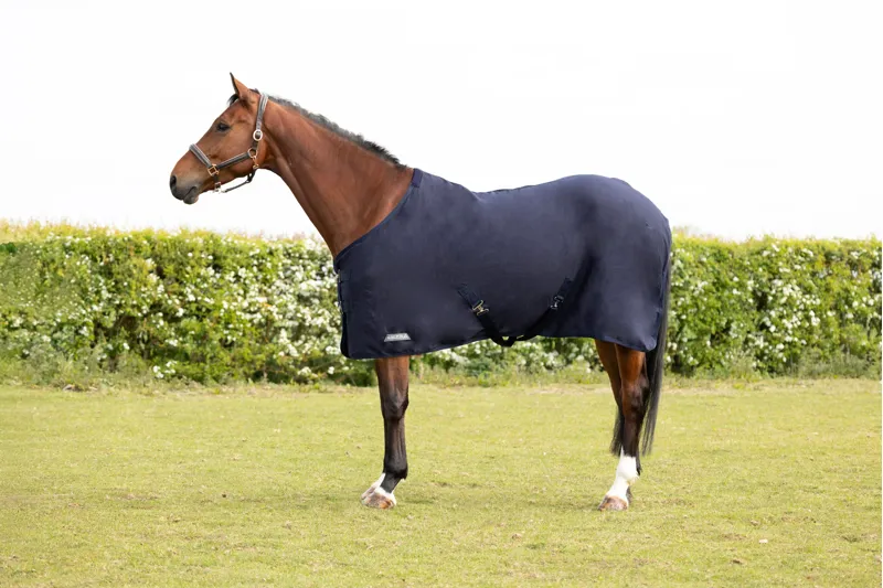 StormX Empra Pima Cotton Sheet - - Navy