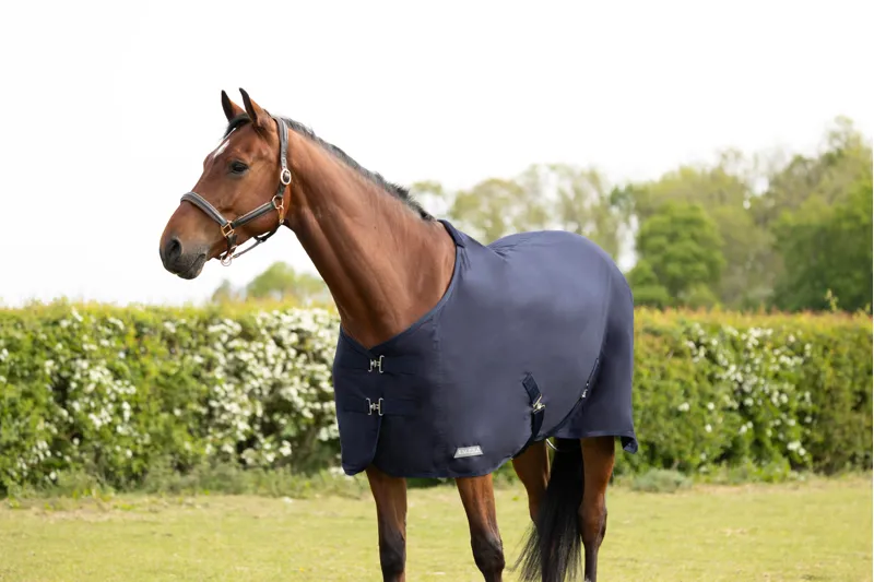 StormX Empra Pima Cotton Sheet - - Navy-1