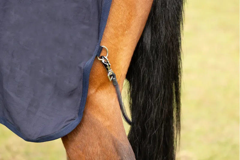 StormX Empra Pima Cotton Sheet - - Navy-4