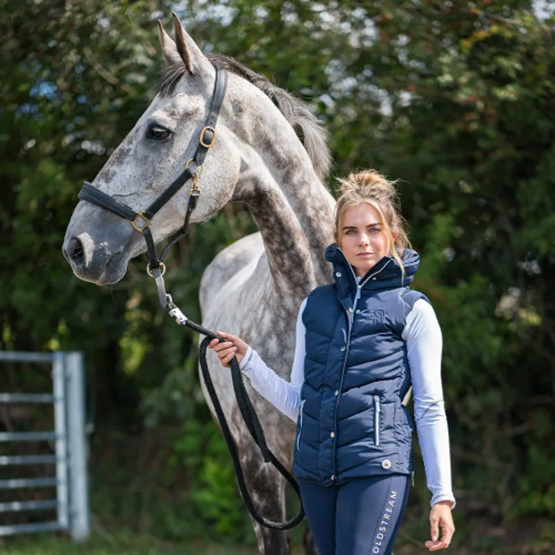 Coldstream Kimmerston Quilted Gilet in Navy