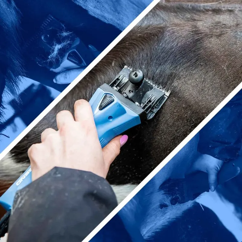 Lister Legend Clipper - Blue-4