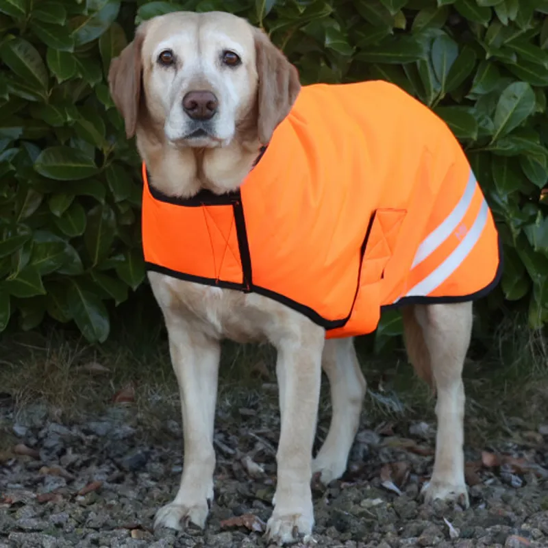 Hy Viz Reflector Waterproof Dog Coat in Orange-1