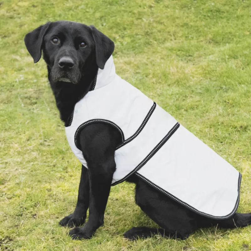 Benji and Flo Silva Reflective Dog Coat in Reflective Silver