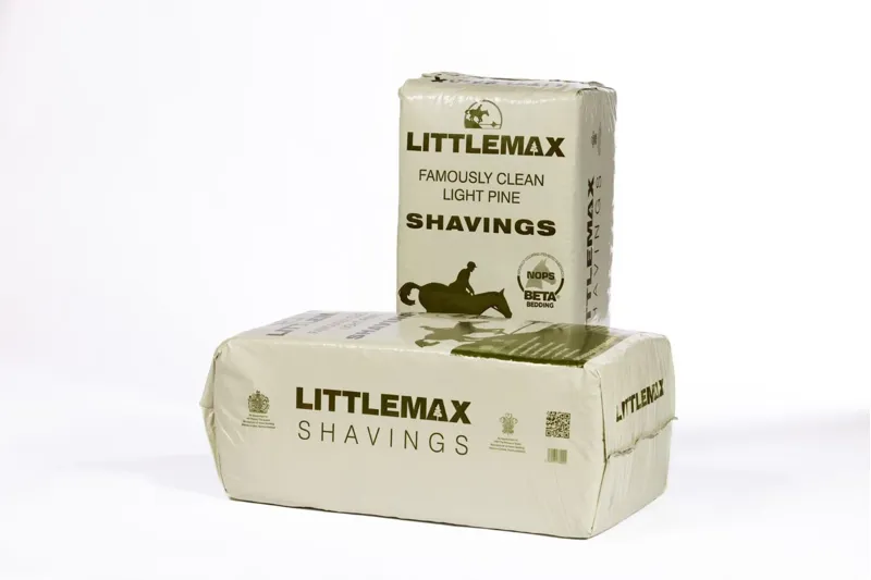Littlemax Shavings-1