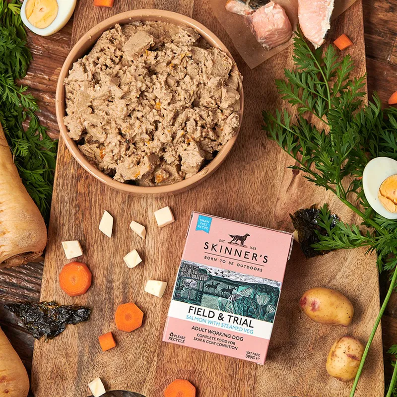 Skinners FandT Adult Grain Free Salmon Wet Food 18x390g-3