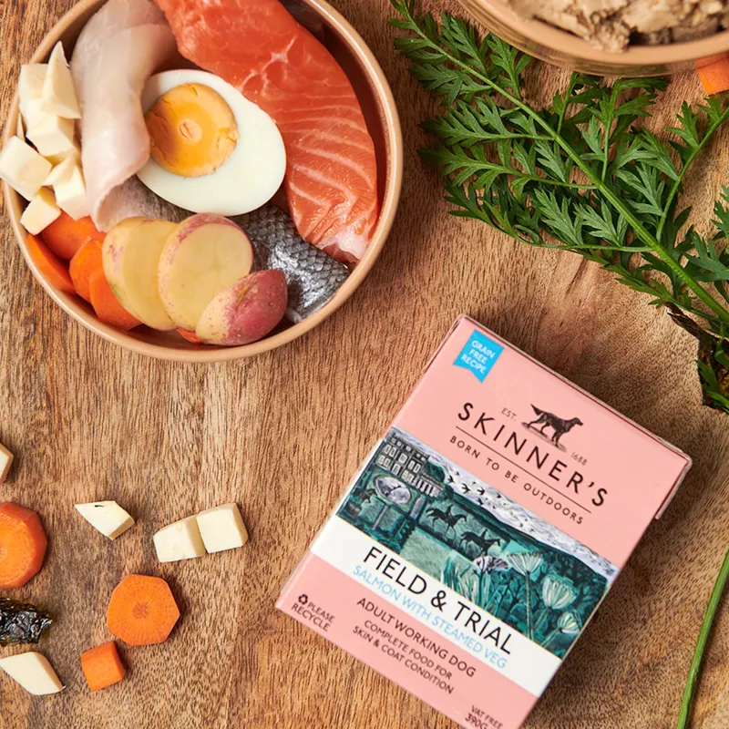 Skinners FandT Adult Grain Free Salmon Wet Food 18x390g-1