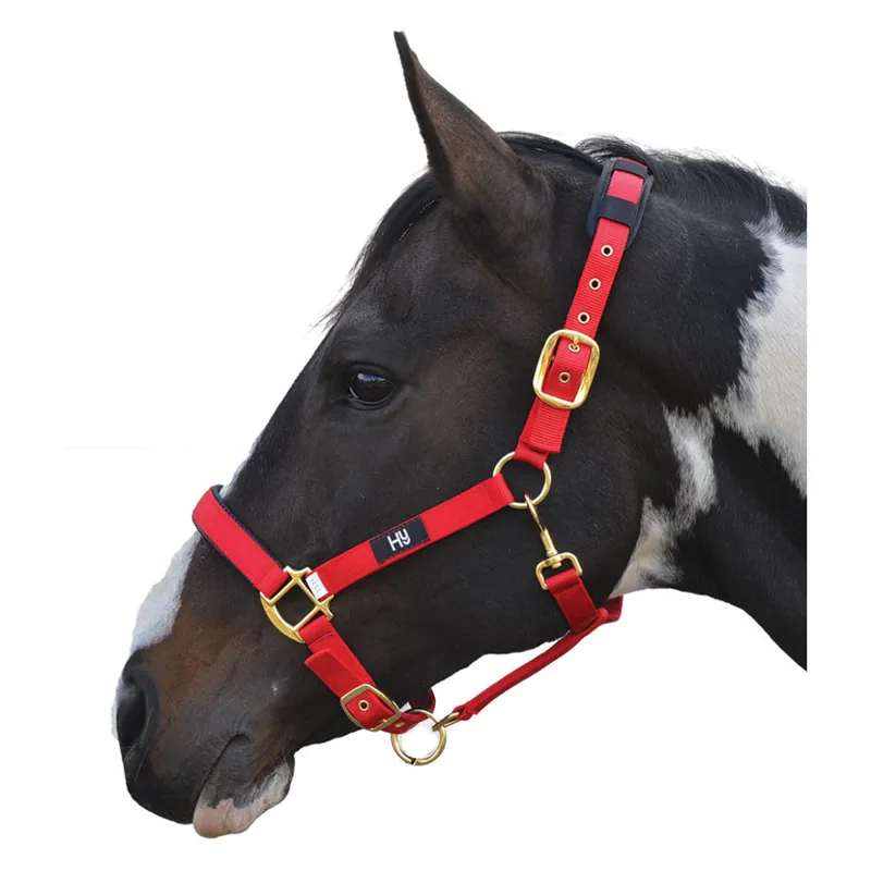 Hy Deluxe Padded Head Collar in Red