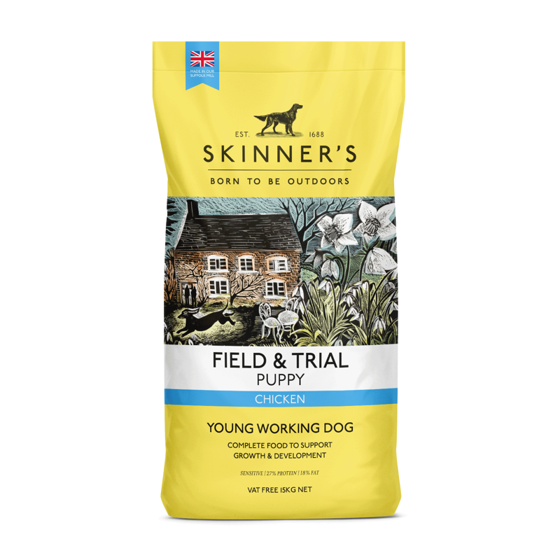 Skinners Field and Trial Puppy Chicken  