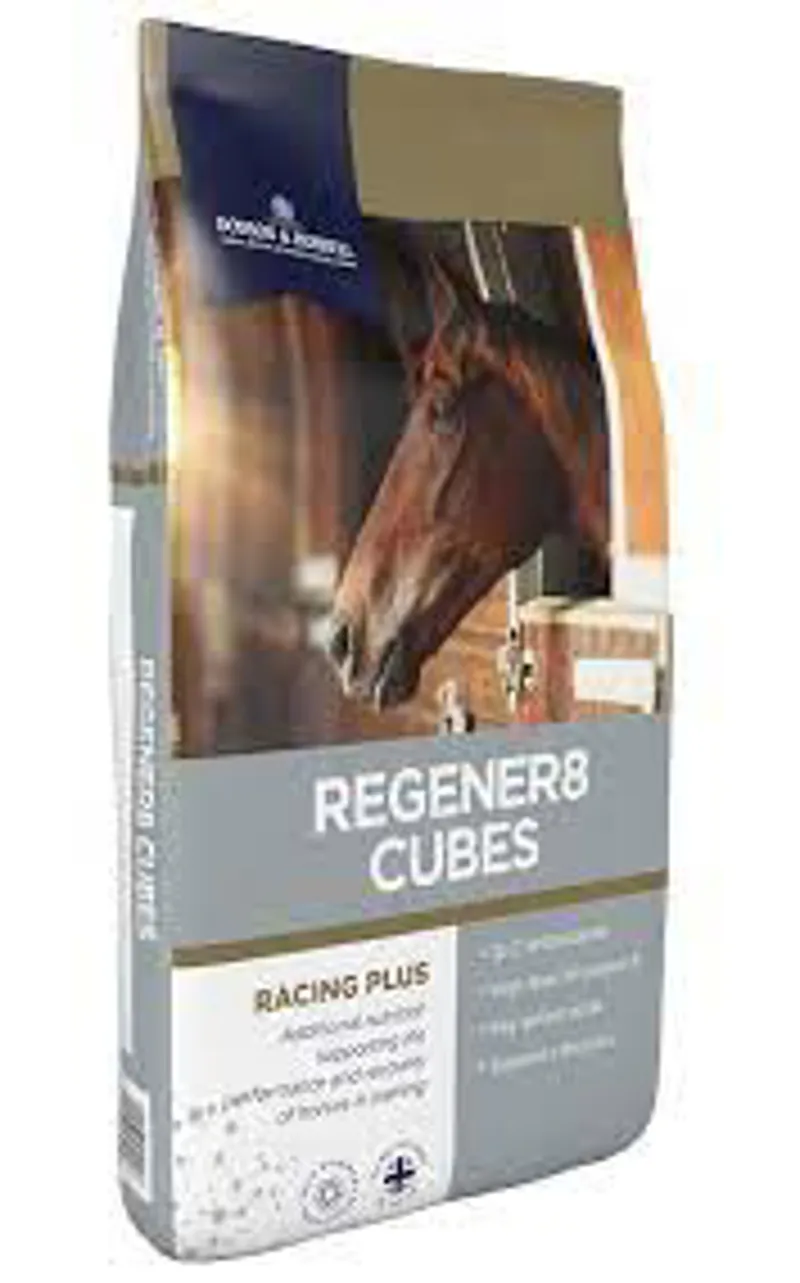 D & H Regener8 Cubes 20 kg