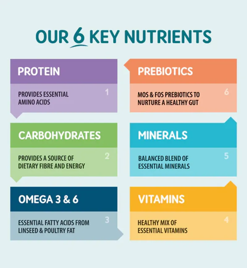 Naturo Adult Grain Free Turkey Potato and Vegetables 10 kg-3