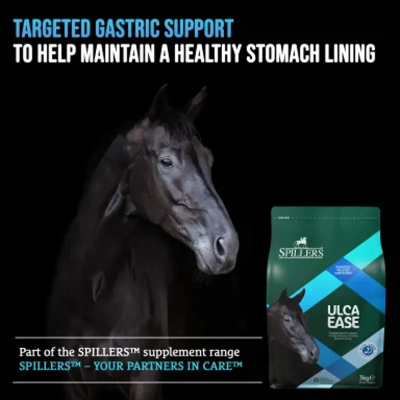 Spillers Supplements Ulca Ease 3kg-3