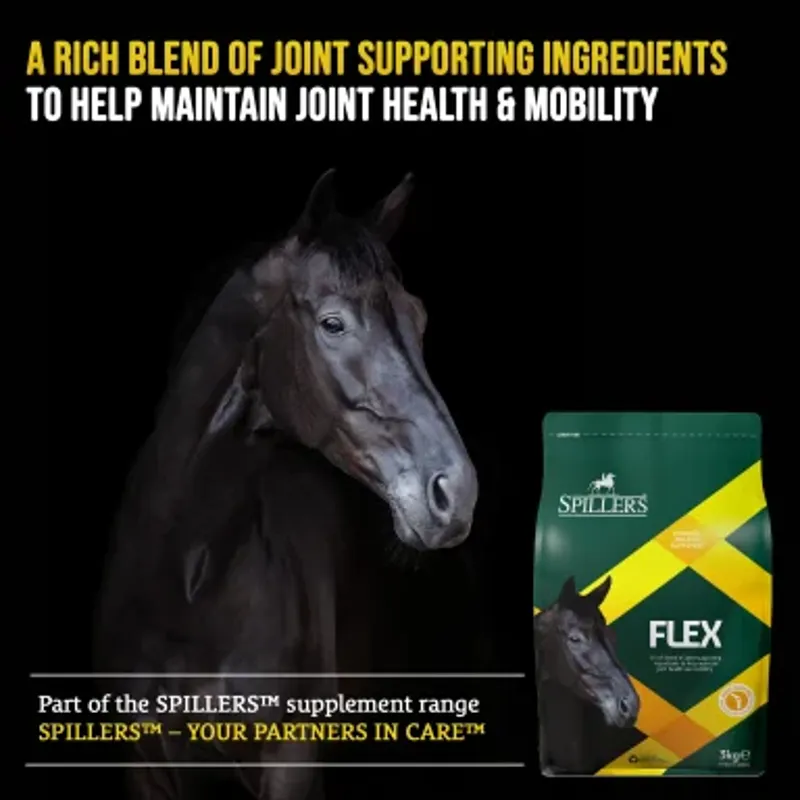 Spillers Supplements Flex 3Kg-2