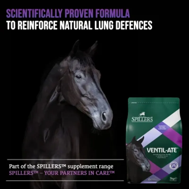 Spillers Supplements Venti-late 3kg-3