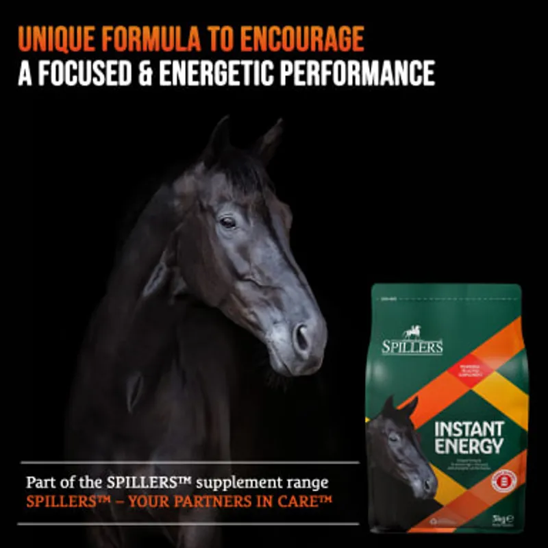 Spillers Supplements Instant Energy 3kg-3