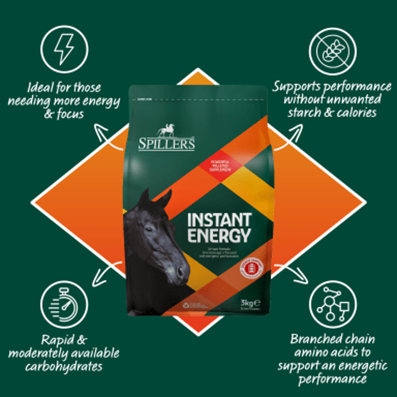 Spillers Supplements Instant Energy 3kg-2