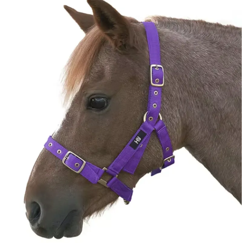 Hy Holly Fully Adjustable Head Collar in Purple