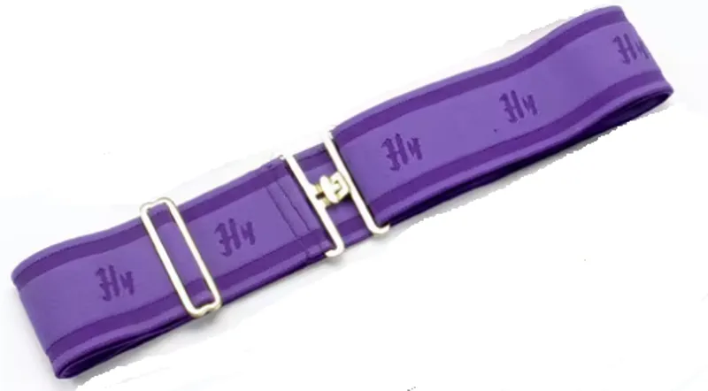 Hy Elasticated Surcingle in Purple