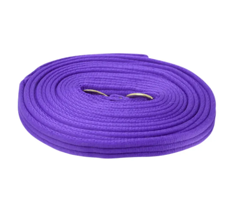 Hy Soft Webbing Lunge Rein in Purple