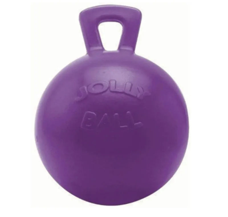 Horsemen's Pride Jolly Ball in Purple