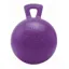 Horsemen's Pride Jolly Ball in Purple